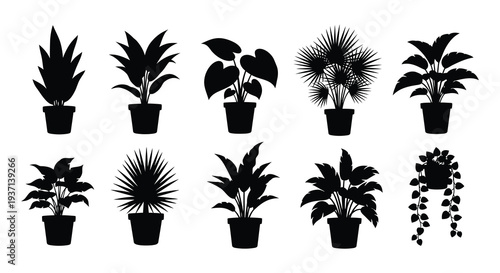 A collection of nine black silhouette houseplants in various shapes and pot styles high quality professional