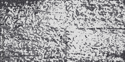 Grayscale abstract background with a dense, porous texture resembling a cellular structure or weathered surface with subtle noise and dark irregular formations