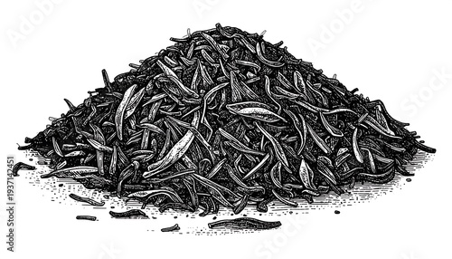 A pile of black tea leaves illustrated with etching, creating a vintage, detailed effect against a white backdrop