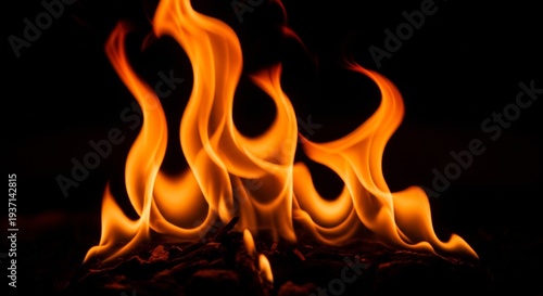 Vibrant orange flames burning brightly against dark background