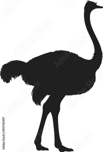 Ostrich silhouette vector illustration, large flightless bird wildlife clipart, African savanna animal icon, black nature design isolated