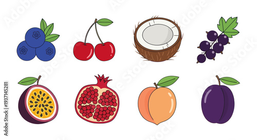 Colorful fruit collection illustration