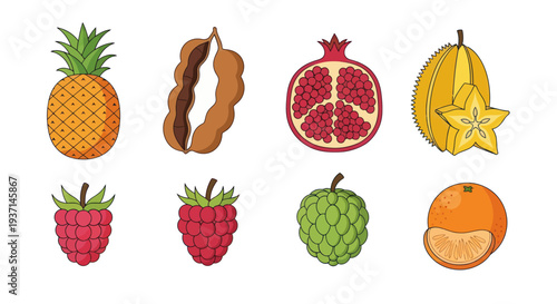 Colorful fruits collection illustration