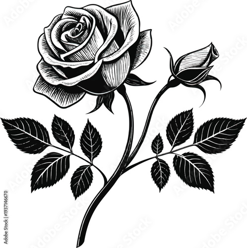 Detailed Rose Flower Silhouette Vector Illustration: Elegant Black and White Floral Motif with Realistic Petals and Leaves for Tattoo Design, Botanical Art, and Luxury Branding