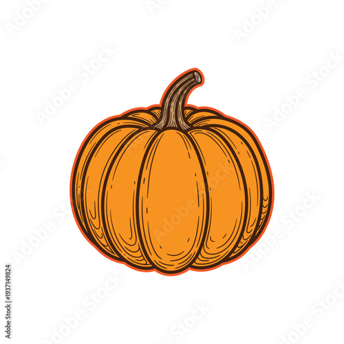 Beautifully illustrated pumpkin for fall and harvest themes