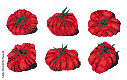 Ripe beefsteak tomatoes. Tasty fleshy tomato, juicy red vegetables flat vector illustration set. Hand drawn whole heirloom ribbed beefsteak tomatoes isolated on white background