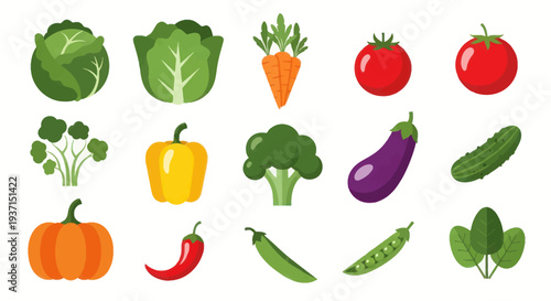 Fresh vegetables collection vector illustration