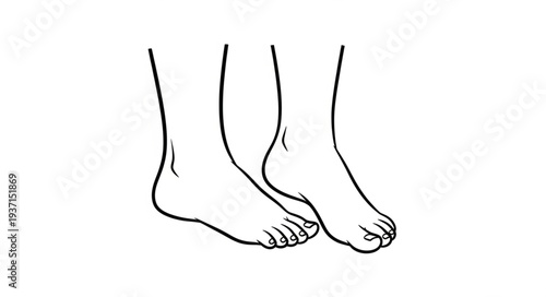 Detailed illustration of two human feet, showcasing anatomy and form, in a simple line drawing style.