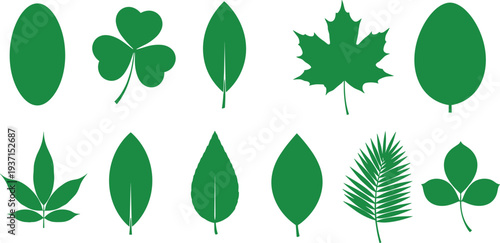 Collection of ten distinct green leaf silhouettes representing various plant species, ideal for botanical studies, eco design, nature illustration, and educational reference materials.