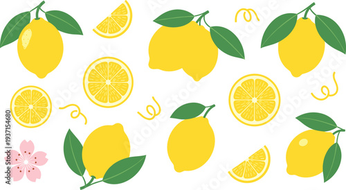 Fresh Lemon Fruit Collection Vector Illustration with Whole Lemons, Lemon Slices, Citrus Segments and Leaves for Summer Drinks, Food Design, and Healthy Ingredient Graphics