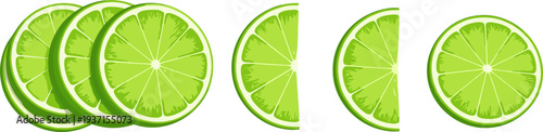 Fresh Lime Slice Set Vector Illustration Showing Whole and Cut Citrus Pieces Isolated for Food Design, Beverage Graphics, Summer Drink, and Healthy Ingredient Concepts