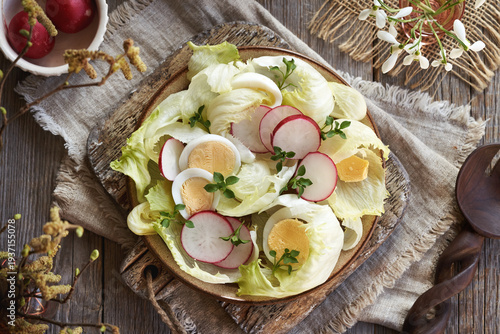 Fresh vegetable salad with chickweed - wild edible plant harvested in early spring