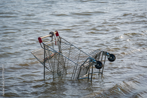 Billede på lærred Chariot de supermarché jeté dans l'eau