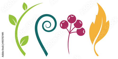 Vector illustration of leaves and berries