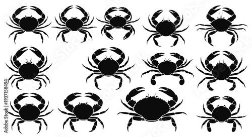 Multiple crab illustrations arranged in a grid presented as a silhouette