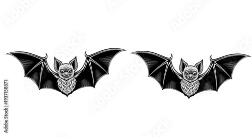 Two detailed illustrations of bats with spread wings, perfect for Halloween decorations.