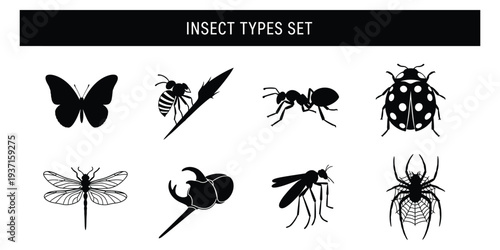 Insect types set collection featuring various species illustrations