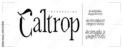 Quadro em tela Caltrop: An elegant mystic serif font with vintage victorian flair