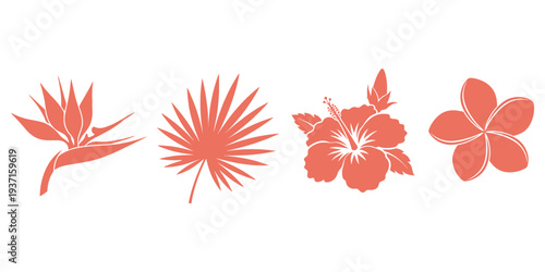 Tropical flowers and leaves illustration viewed from directly above in a row