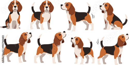 Cute Beagle Dog Character Collection with Different Poses and Expressions Friendly Pet Animal Cartoon Vector Illustration Set