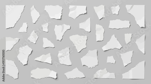 Collection of torn white paper fragments on gray background.