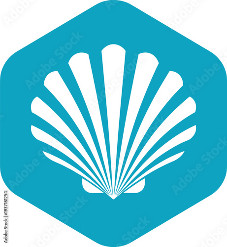 Seashell icon inside hexagon geometric badge modern ocean beach symbol minimal marine vector illustration for travel summer and nature design