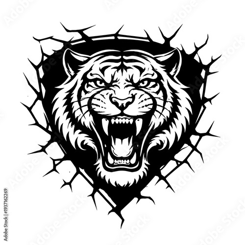 aggressive tiger head bursting out of a cracked wall with sharp teeth and intense eyes