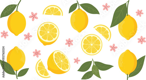 Lemon Fruit Pattern with Whole Lemons, Lemon Slices, Green Leaves and Flowers for Fresh Citrus Background, Summer Design and Organic Food Packaging