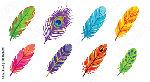 A vibrant collection of colorful peacock feathers arranged on a white background