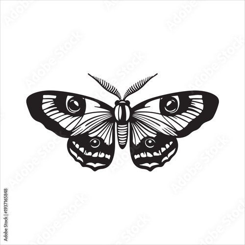 Moth Icon Collection. Solid style icons of moth relatives: luna moth, hawk moth, atlas moth, emperor moth, silk moth, tiger moth,