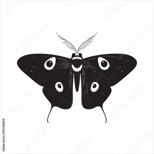 Moth Icon Collection. Solid style icons of moth relatives: luna moth, hawk moth, atlas moth, emperor moth, silk moth, tiger moth,