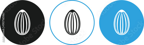 Sunflower seed icon set simple outline food ingredient symbol minimal black and blue round badge vector illustration