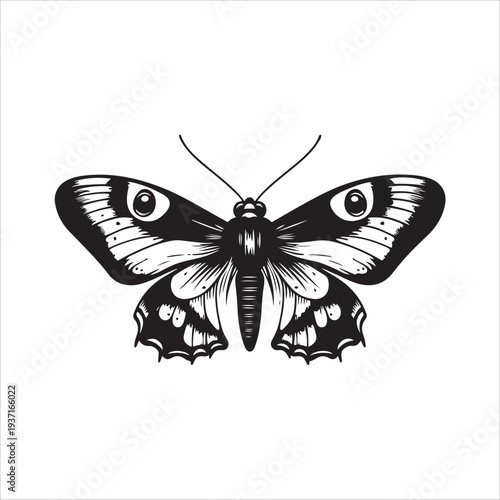 Moth Icon Collection. Solid style icons of moth relatives: luna moth, hawk moth, atlas moth, emperor moth, silk moth, tiger moth,