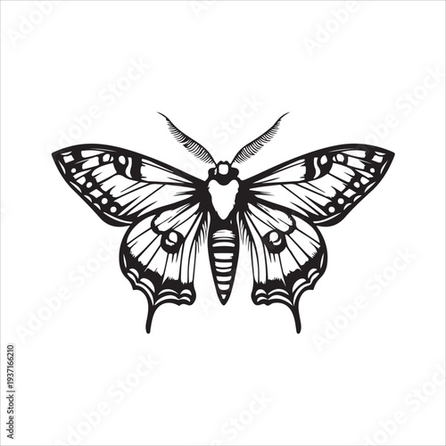 Moth Icon Collection. Solid style icons of moth relatives: luna moth, hawk moth, atlas moth, emperor moth, silk moth, tiger moth,
