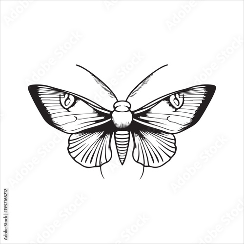 Moth Icon Collection. Solid style icons of moth relatives: luna moth, hawk moth, atlas moth, emperor moth, silk moth, tiger moth,