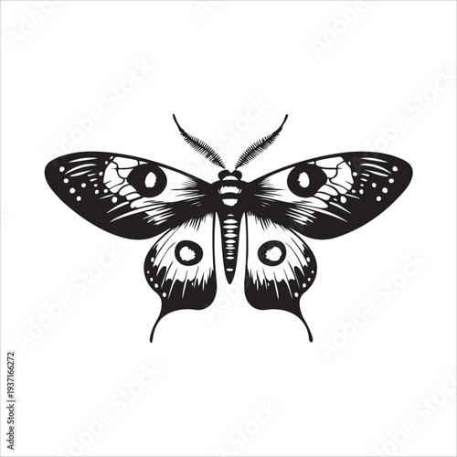 Moth Icon Collection. Solid style icons of moth relatives: luna moth, hawk moth, atlas moth, emperor moth, silk moth, tiger moth,