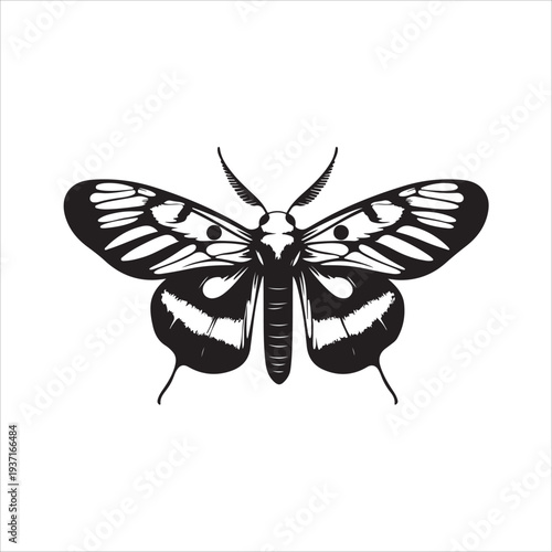 Moth Icon Collection. Solid style icons of moth relatives: luna moth, hawk moth, atlas moth, emperor moth, silk moth, tiger moth,
