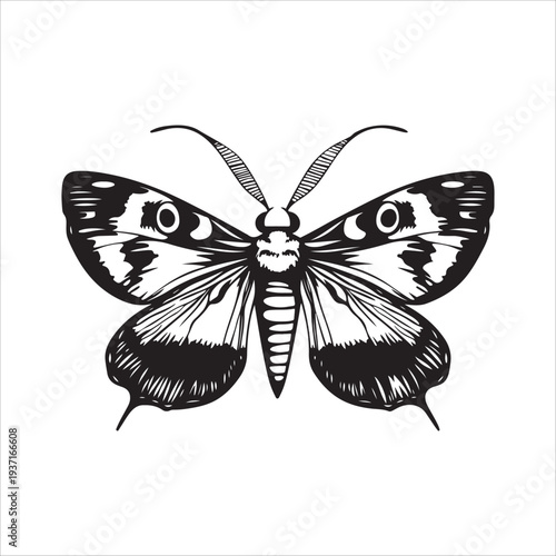 Moth Icon Collection. Solid style icons of moth relatives: luna moth, hawk moth, atlas moth, emperor moth, silk moth, tiger moth,
