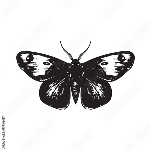 Moth Icon Collection. Solid style icons of moth relatives: luna moth, hawk moth, atlas moth, emperor moth, silk moth, tiger moth,