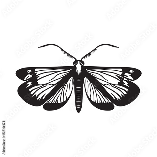 Moth Icon Collection. Solid style icons of moth relatives: luna moth, hawk moth, atlas moth, emperor moth, silk moth, tiger moth,