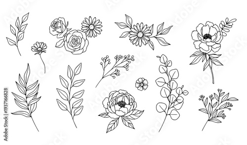 Hand-Drawn Floral and Botanical Line Art Vector Set for Wedding Invitations and Tattoos