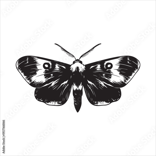Moth Icon Collection. Solid style icons of moth relatives: luna moth, hawk moth, atlas moth, emperor moth, silk moth, tiger moth,