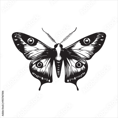 Moth Icon Collection. Solid style icons of moth relatives: luna moth, hawk moth, atlas moth, emperor moth, silk moth, tiger moth,