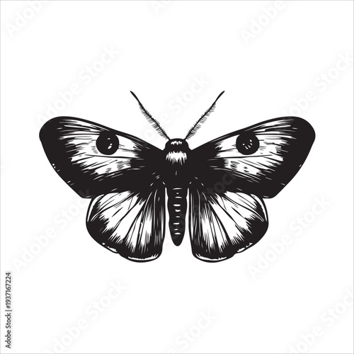 Moth Icon Collection. Solid style icons of moth relatives: luna moth, hawk moth, atlas moth, emperor moth, silk moth, tiger moth,
