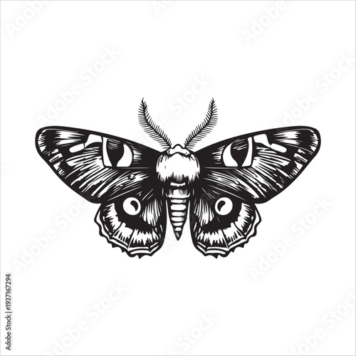 Moth Icon Collection. Solid style icons of moth relatives: luna moth, hawk moth, atlas moth, emperor moth, silk moth, tiger moth,