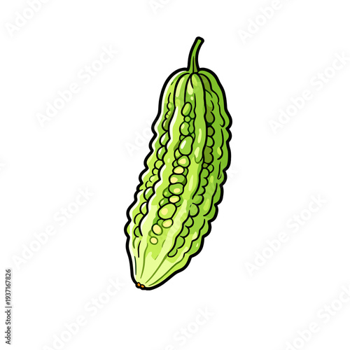 [Vector EPS]A green bitter gourd with unique bumpy texture and elongated shape