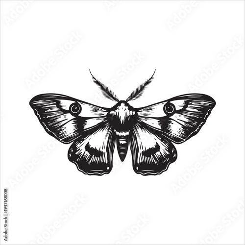 Moth Icon Collection. Solid style icons of moth relatives: luna moth, hawk moth, atlas moth, emperor moth, silk moth, tiger moth,