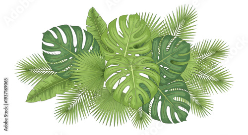 Aerial view of lush tropical leaves and plants in a vibrant green arrangement, featuring a mix of monstera and palm fronds.