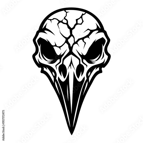 black and white illustration of a bird skull with cracked head and long beak