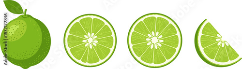 Lime Icon Set Featuring Whole Lime, Lime Slice Cross Sections and Lime Wedge for Fresh Citrus Design and Healthy Food Illustration